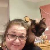 Not a lap cat...a shoulder cat..15 yrs old...going thru her second childhood ?????