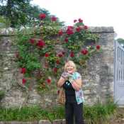 Holehird Gardens visit...and my favourite flower...the rose