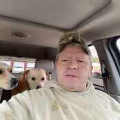 Took my dogs for a ride !