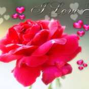 I LOVE YOU TO ALL MY FRIENDS