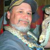 Me Snake hunter with a Sonoran gopher snake, Non-Venomous in Western Texas.